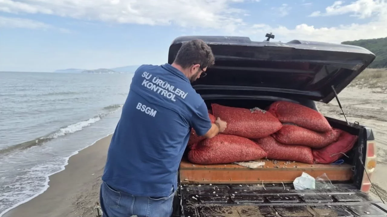 Bursa'da kaçak avcılığa büyük darbe! 2 ton 760 kilogram deniz canlısı ele geçirildi