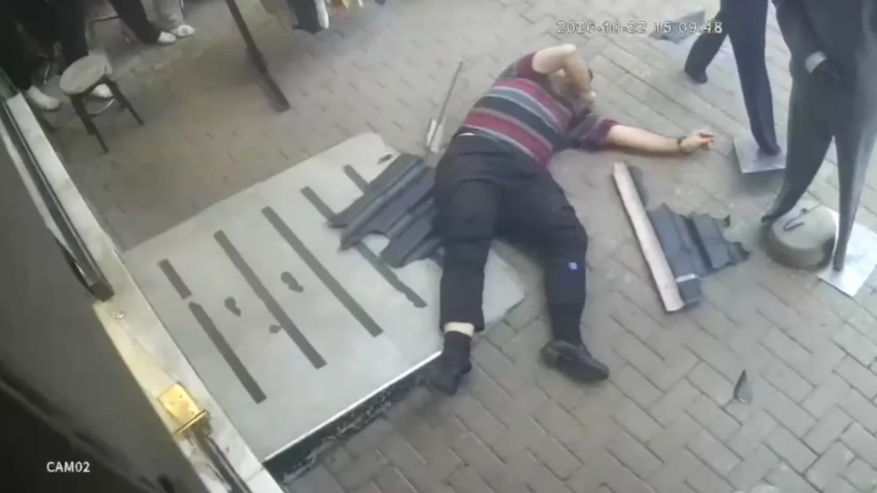 Bursa'da yavru kediyi kurtarmak istedi, canından oldu! Feci kaza saniye saniye kaydedildi